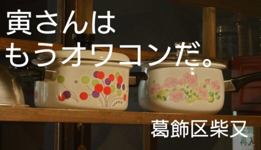 【葛飾柴又 寅さん記念館】寅さんに頼りすぎな柴又エリア。このままだと良くないと思う。