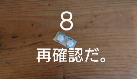 【ワクチン集団摂取４回目】第８派流行前。予約の流れは？ワクチンの種類は？予約無しだと◯◯分待ち。東京都江戸川区。