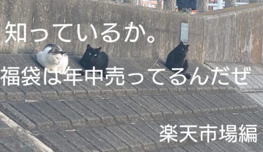 【楽天市場　福袋　レビュー数多いのを紹介】初心者風水で運が向いてきた気がするので福袋に興味を示すアラフォー。意外と色んな種類が売っている。