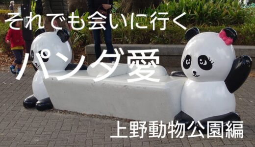 【上野動物園 シャオシャオとレイレイに会い行く】パンダの行列は２種類あるので注意！11月5日現在の行列時間も公開。
